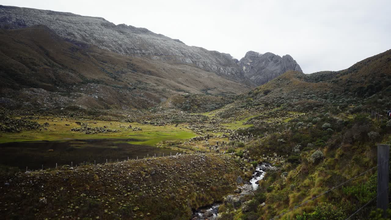 Breathtaking footage captures a lush green landscape, a hiker's haven with a trail leading towards majestic rocky mountains in the distance