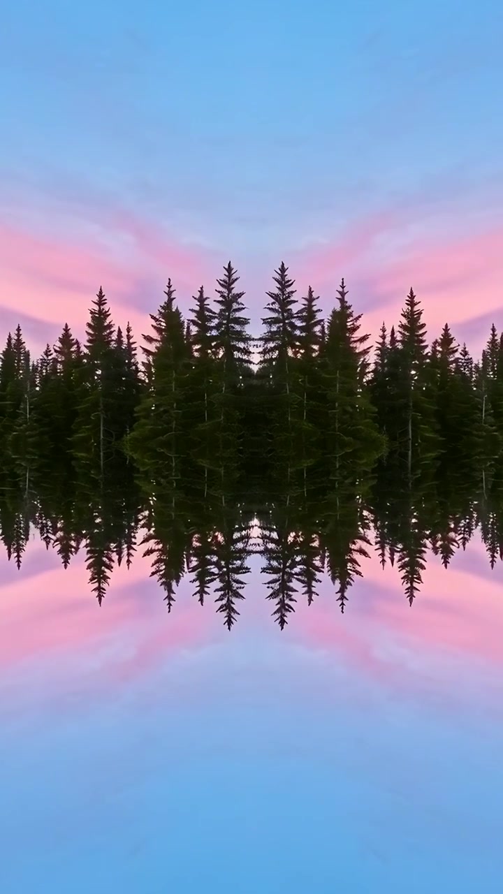Vertical video: Subtle drift shifting center pines mirroring in calm lake at dawn making soft hues
