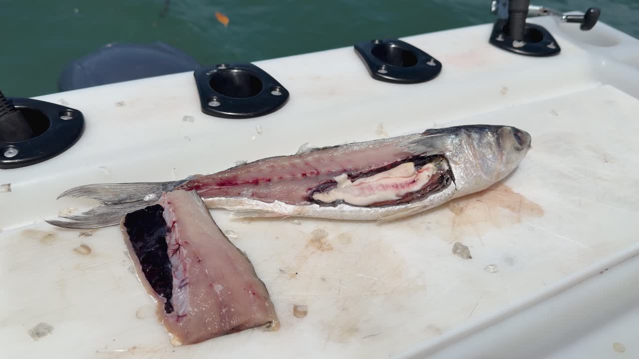 Nahaufnahme eines filetierten Meeräschenfisches auf einem weißen Schneidebrett an Bord eines Bootes