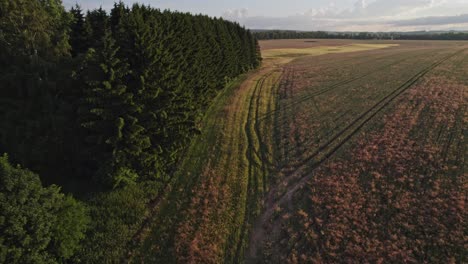 drifting slowly over a harvested wheat field next to forest in europe