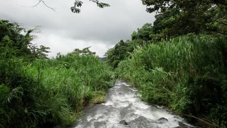 White-water-river-stream-in-lush-wetland-jungle-valley-in-Costa-Rica