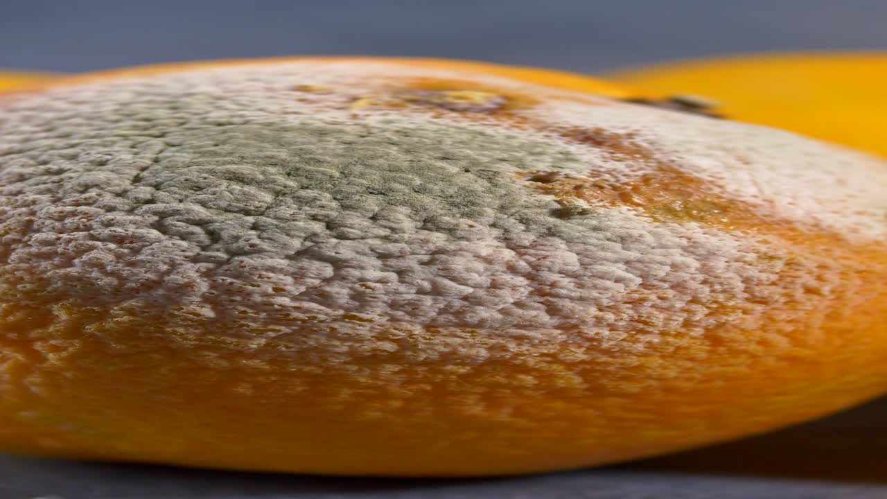 naranja con moho