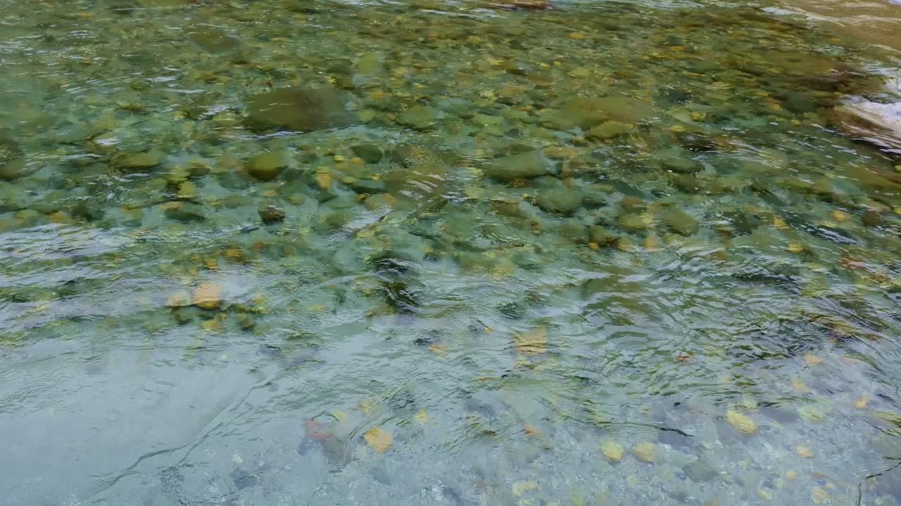 Crystal Clear Mountain River Water Close-Up Flowing Over Stones