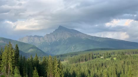 krivan peak mountain on sunny cloudy day, pine tree forest, high tatras slovakia