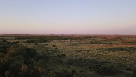 countryside landscape with dense foliage and vegetation near coastal town of monte hermoso, argentina