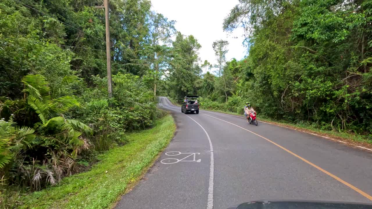 울창 한 숲 을 가로지르는 경치 좋은 도로