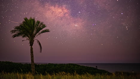 un cielo estrellado púrpura con la vía láctea pasa detrás de una palmera
