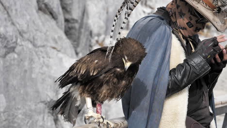 slow motion falcon at jade dragon snow mountain, yunnan, china