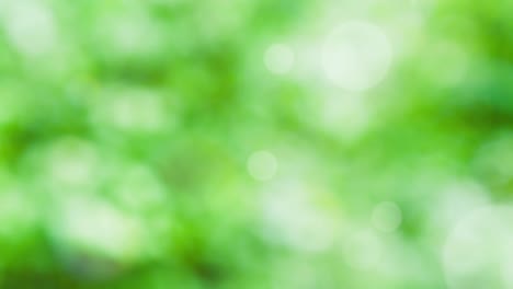 Abstract spring background with bokeh