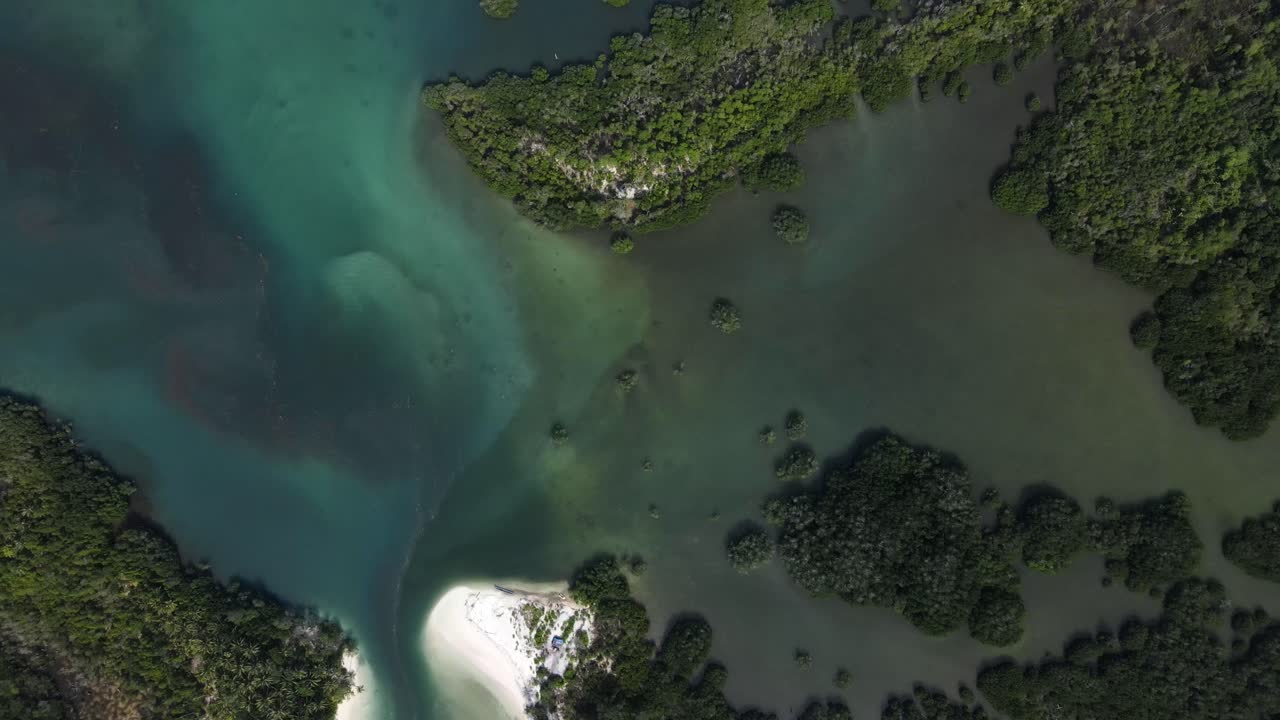 video de drones desde arriba de un pantano en indonesia volando