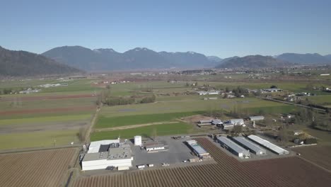 4K-Drone-Shot-of-Berry-farm