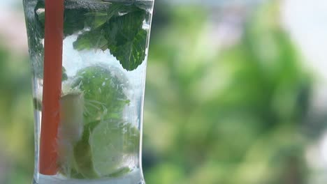 cóctel de mojito con paja contra las palmas borrosas