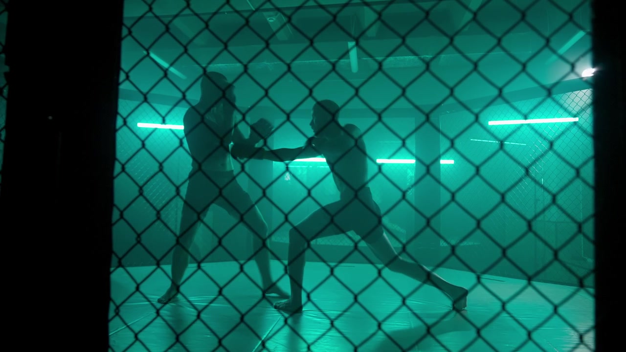 Siluetas de dos luchadores entrenando en una jaula oscura de MMA con luces de neón verdes