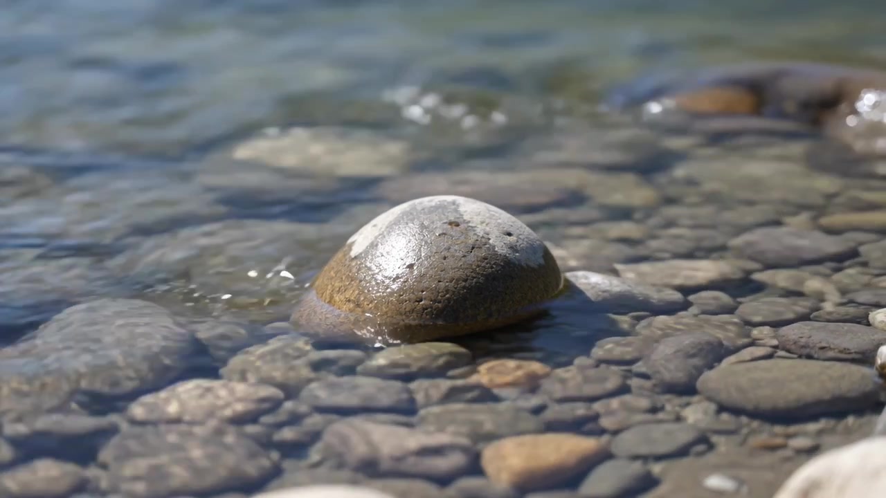 La luce solare che si sposta e piccole increspature muovono l'acqua attorno a una roccia a cupola sulla riva, con i ciottoli che brillano.