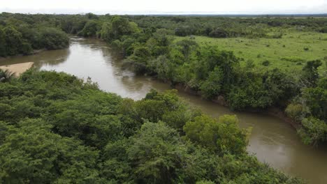 rupununi river, amazon basin