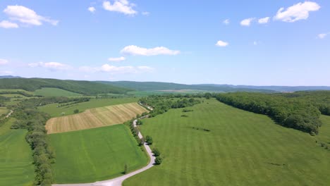 green fields and farmland in the afternoon sun and road in the foreground