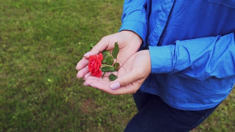 woman holding a red rose in her hands