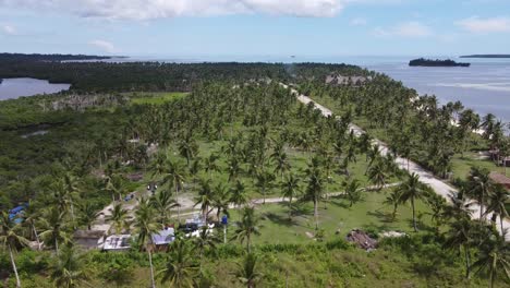 farmhouse and huts amid palm trees near coastal road on siargao island