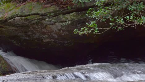 Macro-scene-from-a-creek-in-Stone-Mountain-State-Park,-NC