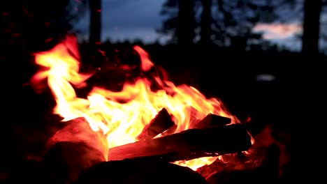 fogata en la oscuridad durante una puesta de sol tardía en un bosque sueco en verano