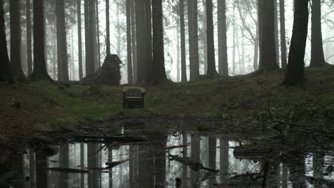 creepy armchair in woods