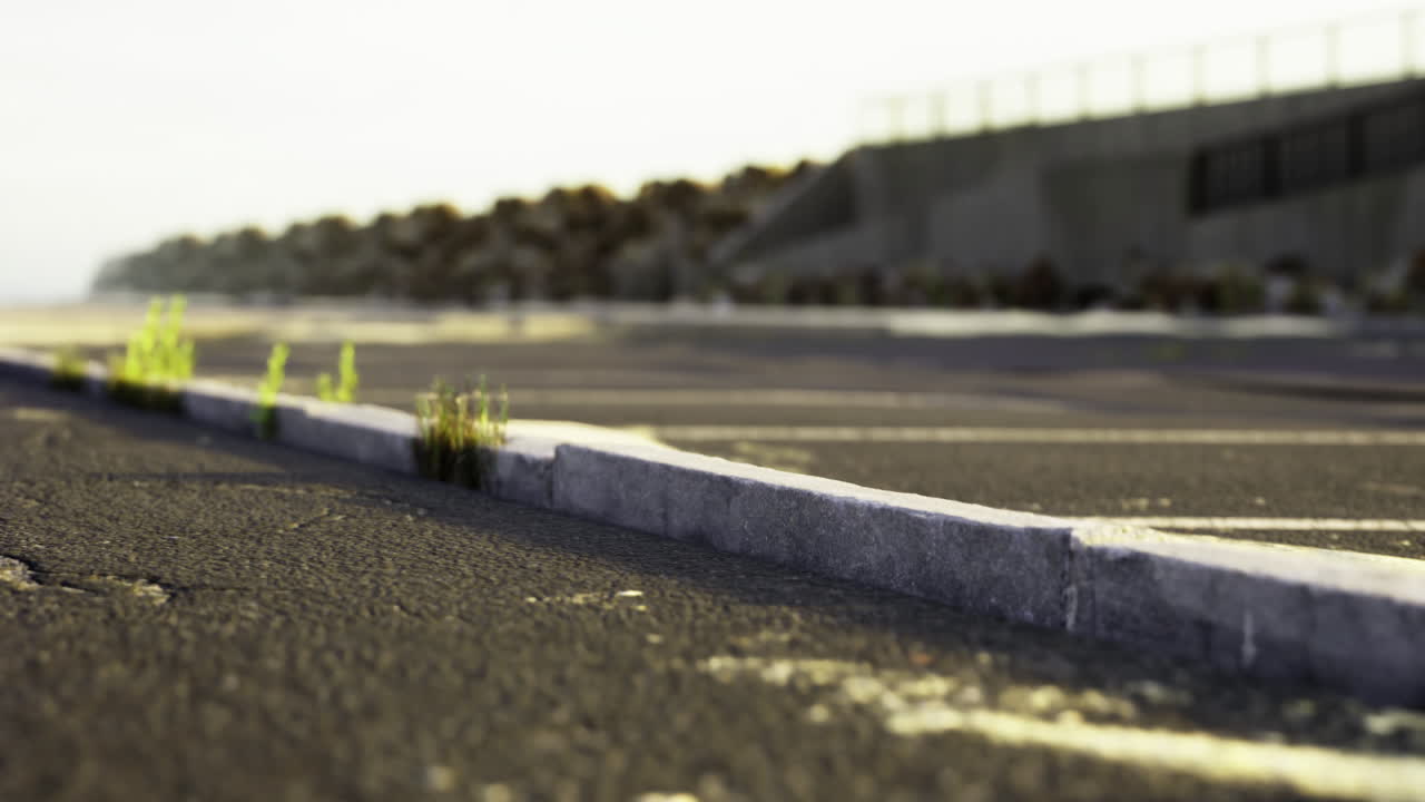 Quiet beauty of nature reclaiming an abandoned parking lot by the shore