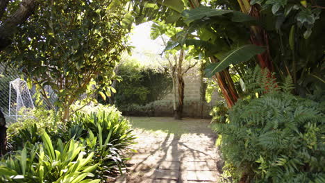 sunlit garden path surrounded by lush green plants and trees, creating serenity, copy space