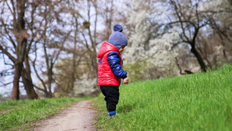baby boy waving a wattle standing in the grass. little kid drops the stick and goes to get it. sunny spring day backdrop.