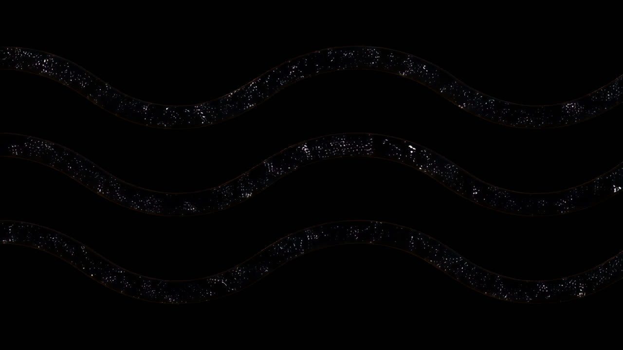 Abstract wavy lines pattern animated overlay, transparent 4K video, alpha channel, ProRes 4444