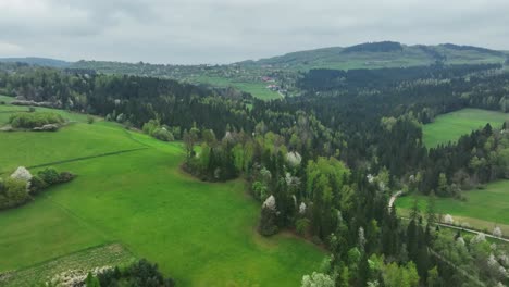 vibrant greenery and dense foliage of a beautiful woodland stretching across hilly countryside