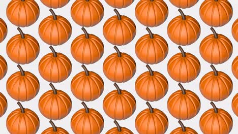 3d animation of pumpkins. animated background for halloween. background from pumpkins.