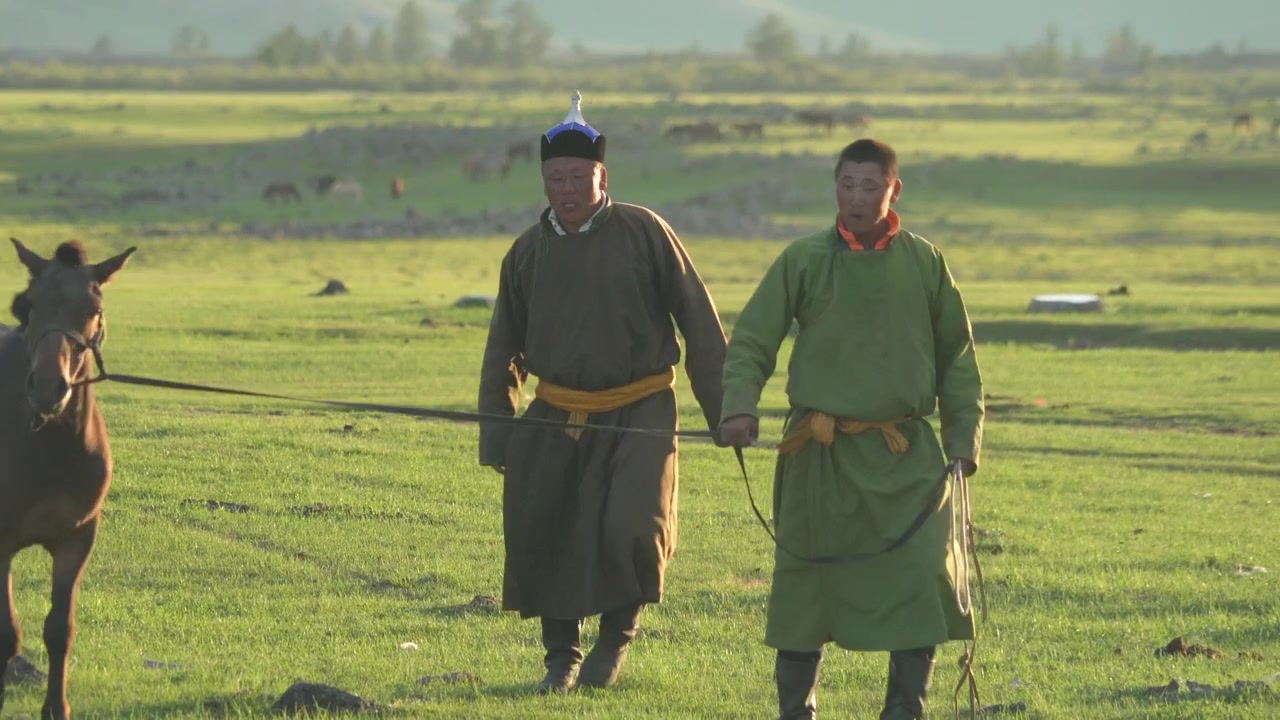 Mongolske gjetere som går med hester på grønn steppe