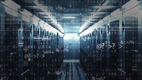 animación del procesamiento de datos a través de servidores informáticos