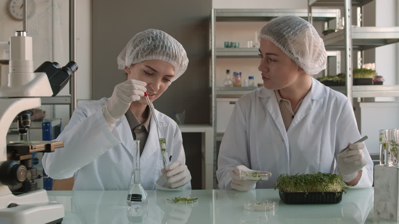 científicos que trabajan en un laboratorio en experimentos con plantas