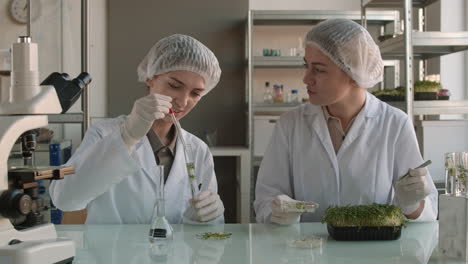 scientists working in a laboratory on plant experiments