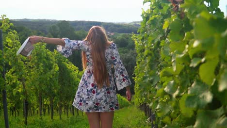 stunning hd footage of a white caucasian woman with a knitted hat, dress standing in a vineyard, observing her surroundings, then playfully taking her hat off