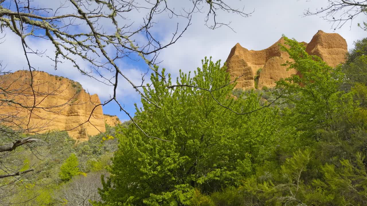 Outstanding Golden Mountains Surrounded By Vegetation Behind Dead Tree
