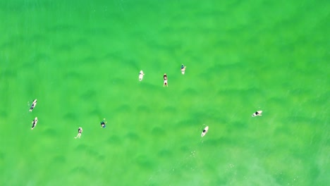 Aerail-drone-shot-bird's-eye-angle-of-surfers-bodyboarders-in-line-up-waiting-for-waves-crystal-clear-sandbank-Central-Coast-NSW-Australia-4K