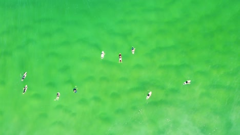 aerail drone disparó ángulo de ojo de pájaro de surfistas bodyboarders en fila esperando olas cristalinas banco de arena costa central nsw australia 4k