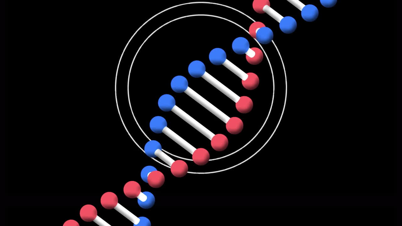 animación de una cadena de adn giratoria en círculos blancos sobre un fondo negro