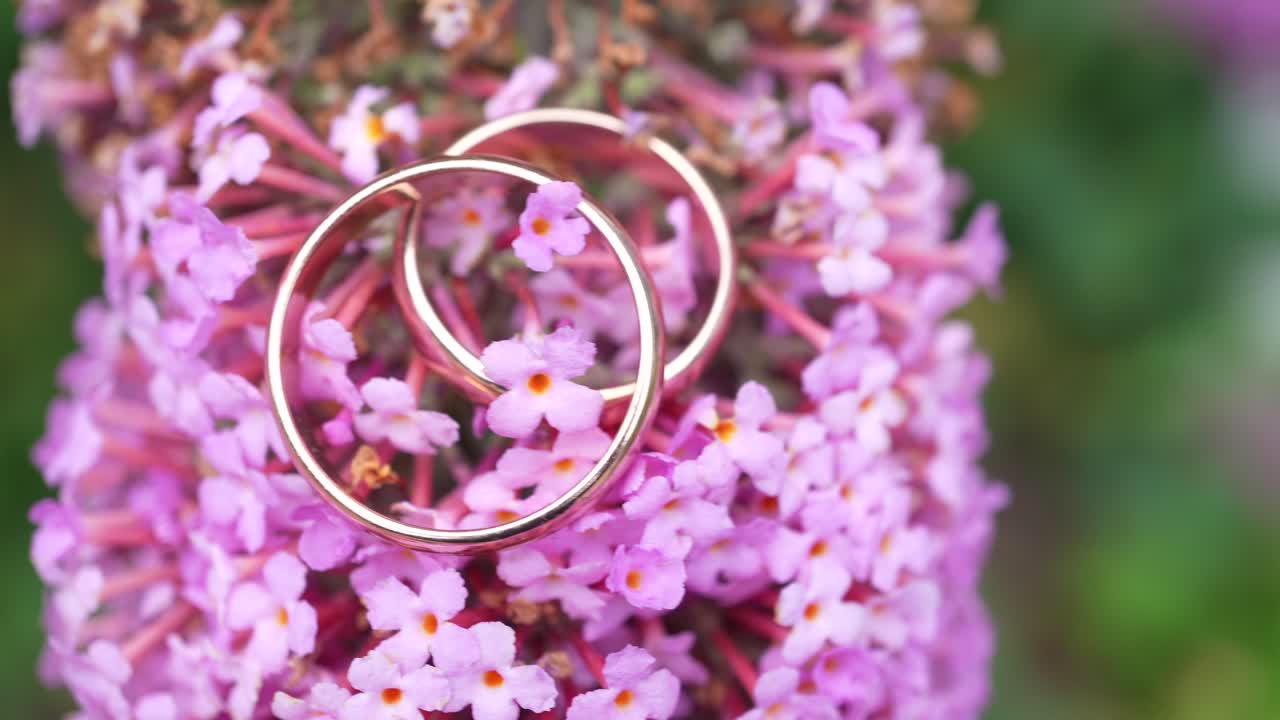 婚戒指在小紫色的花上