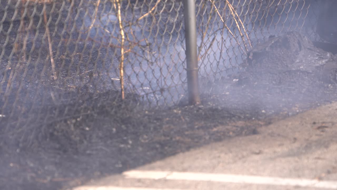 공원에서 불에 브러시