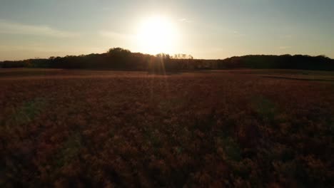 Verträumte-Luftaufnahme,-Die-Sich-über-üppige-Vegetation-Der-Goldenen-Untergehenden-Sonne-Entgegenbewegt