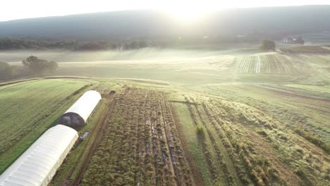 vista aérea empujando hacia el sol naciente con invernaderos, tierras de cultivo y montañas, todo en niebla