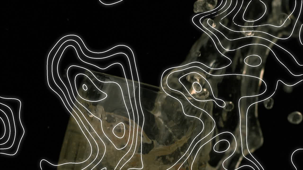 animación de formas sobre fresa cayendo en un vaso con champán sobre fondo negro