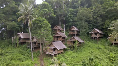 aerial view of group of old abandoned wooden huts in rain forest