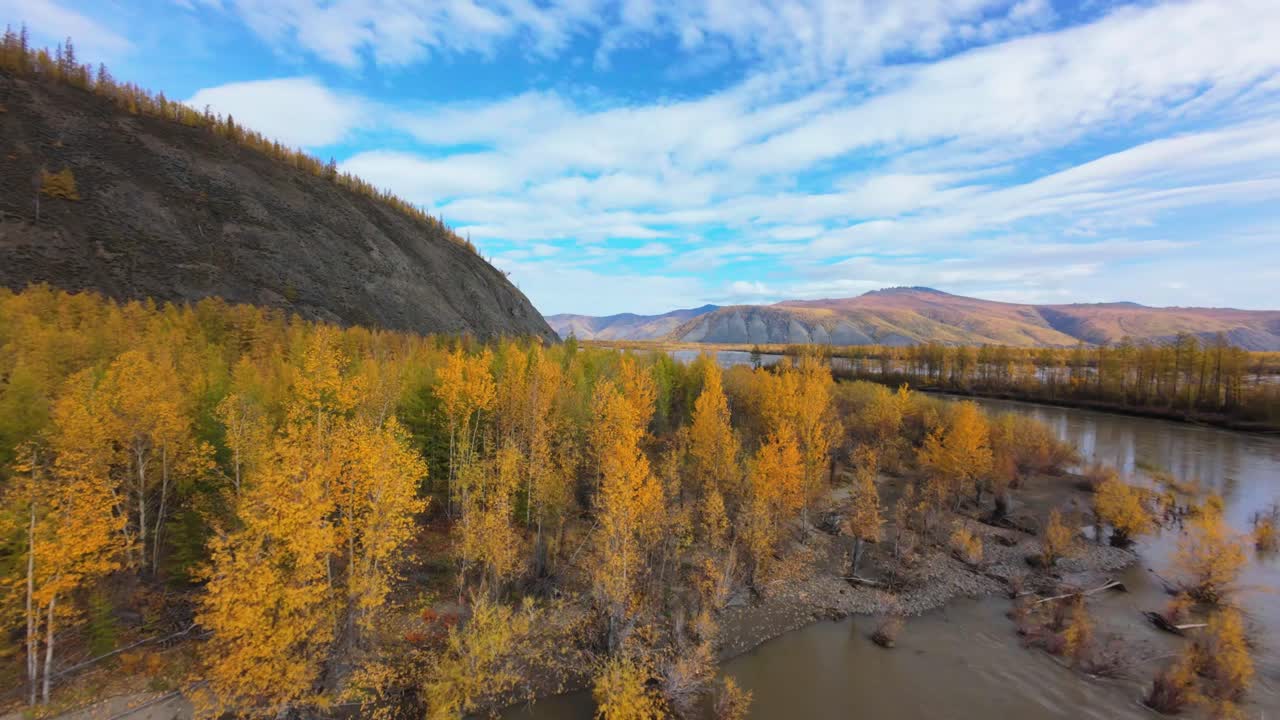 Elevate your senses as vibrant golden trees embrace the winding river beneath a breathtaking sky, showcasing the idyllic beauty of Siberia during autumn. Nature's artistry unfolds in tranquil harmony.