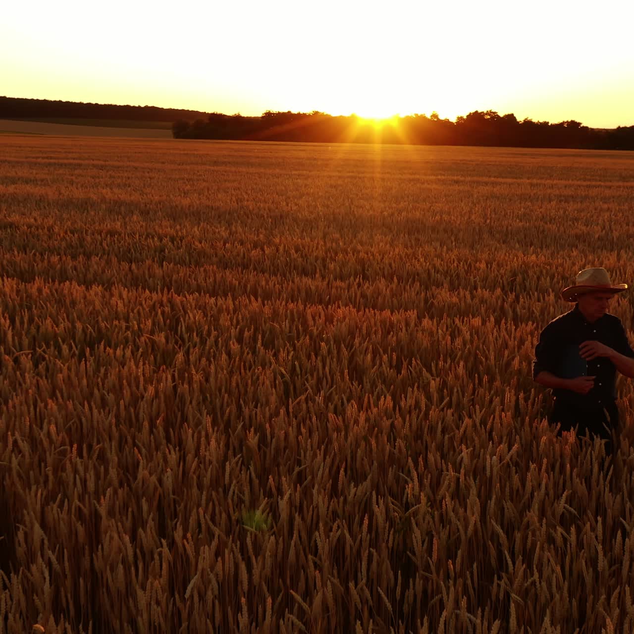 Aerial view of farmer walking in field