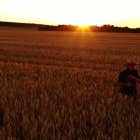 aerial view of farmer walking in field