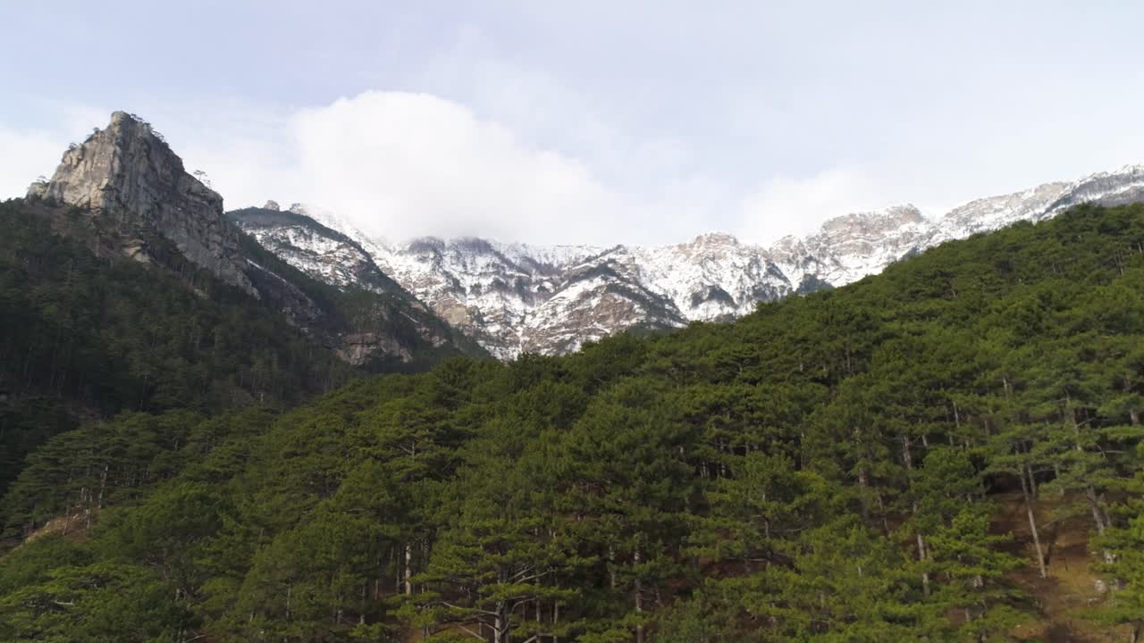 picos de montañas nevadas y paisaje de bosque de pinos